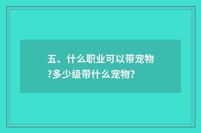五、什么职业可以带宠物?多少级带什么宠物?