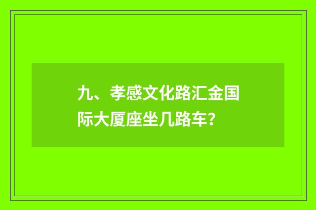 九、孝感文化路汇金国际大厦座坐几路车？