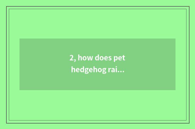 2, how does pet hedgehog raise a strategy?