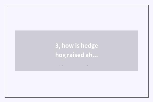 3, how is hedgehog raised ah when pet?