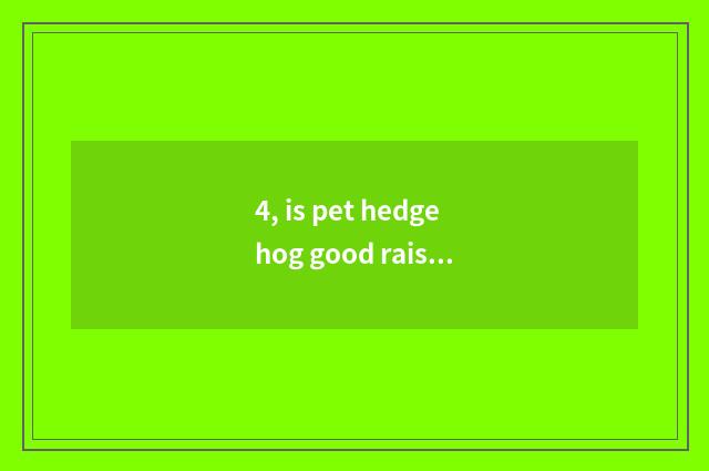 4, is pet hedgehog good raise?