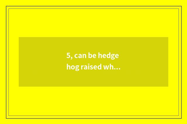 5, can be hedgehog raised when pet?