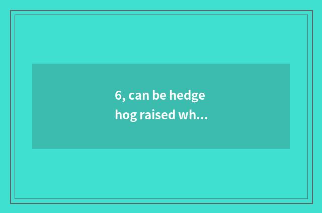 6, can be hedgehog raised when pet?
