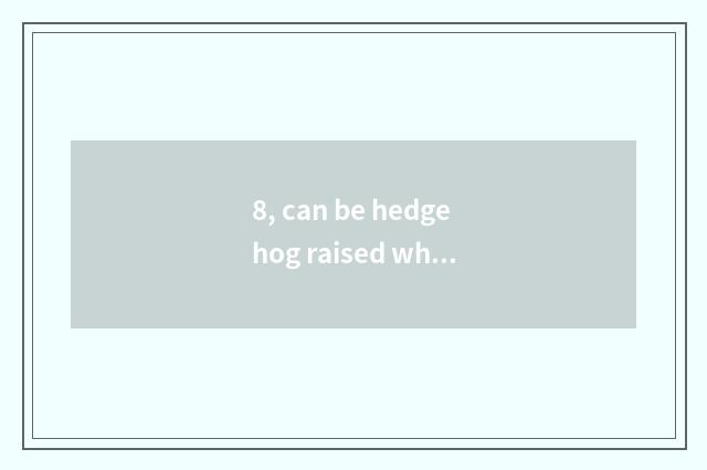 8, can be hedgehog raised when pet?