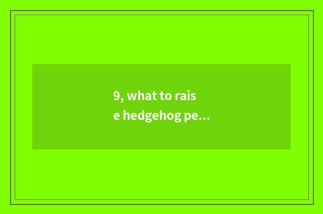 9, what to raise hedgehog pet to need to notice?
