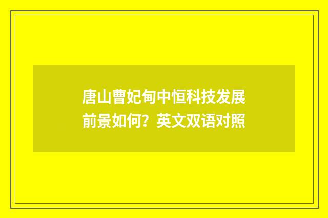 唐山曹妃甸中恒科技发展前景如何？英文双语对照