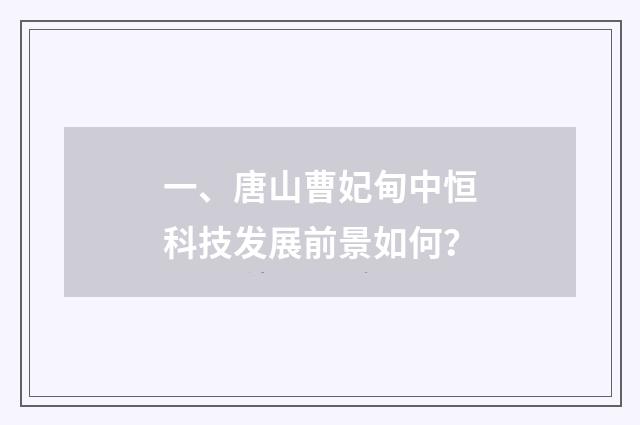 一、唐山曹妃甸中恒科技发展前景如何？