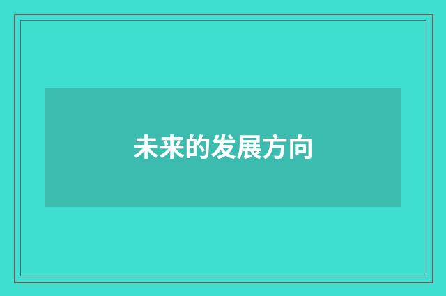 未来的发展方向