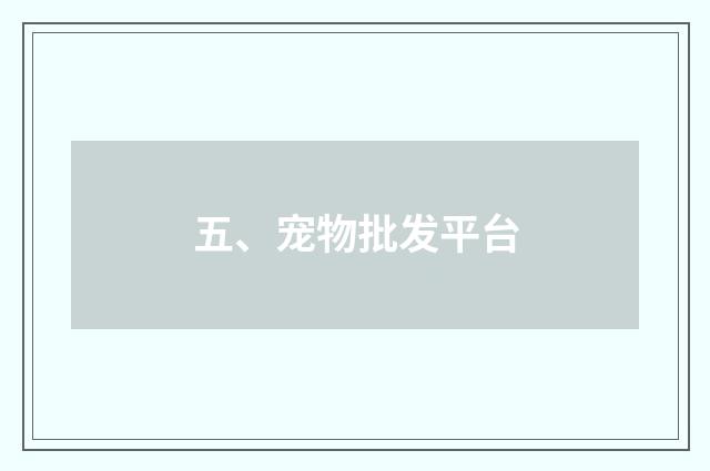 五、宠物批发平台