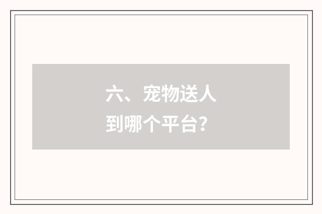 六、宠物送人到哪个平台？