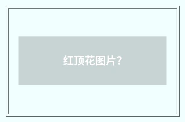红顶花图片？