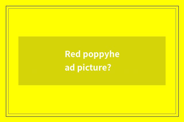 Red poppyhead picture?