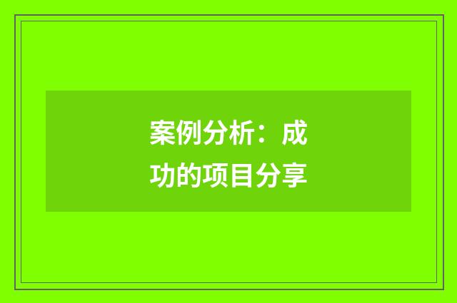 案例分析：成功的项目分享