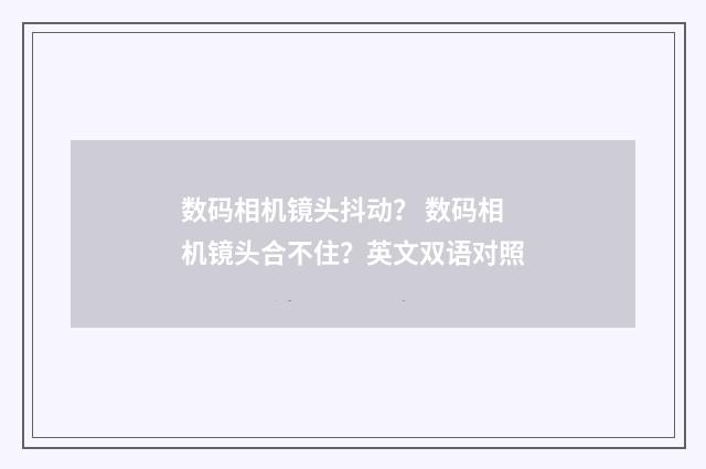 数码相机镜头抖动？ 数码相机镜头合不住？英文双语对照