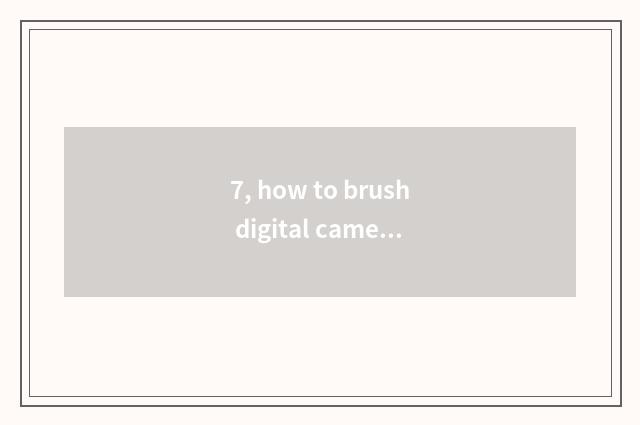 7, how to brush digital camera camera lens best?