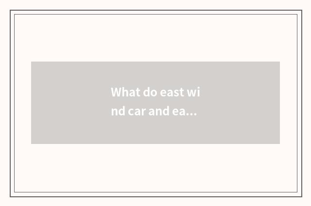 What do east wind car and east wind science and technology have different?