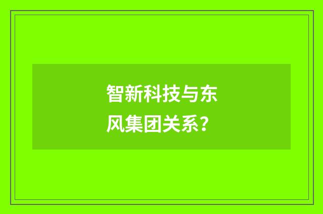 智新科技与东风集团关系？