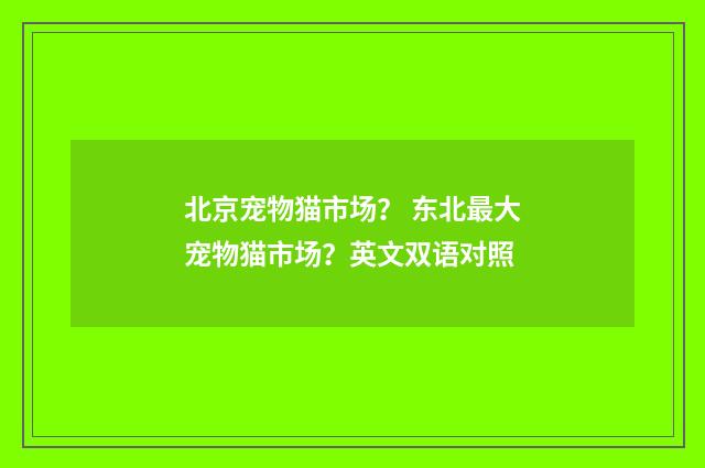 北京宠物猫市场？ 东北最大宠物猫市场？英文双语对照