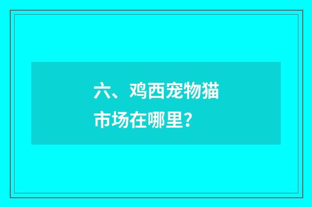 六、鸡西宠物猫市场在哪里？