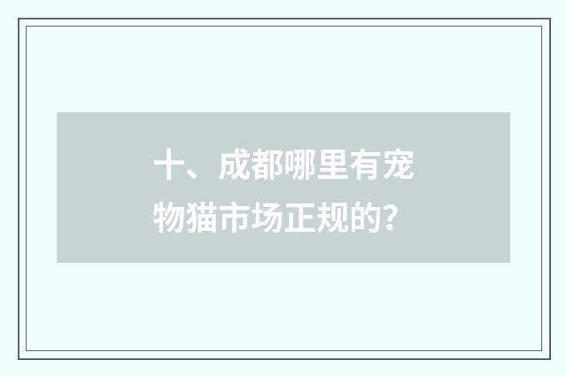 十、成都哪里有宠物猫市场正规的?