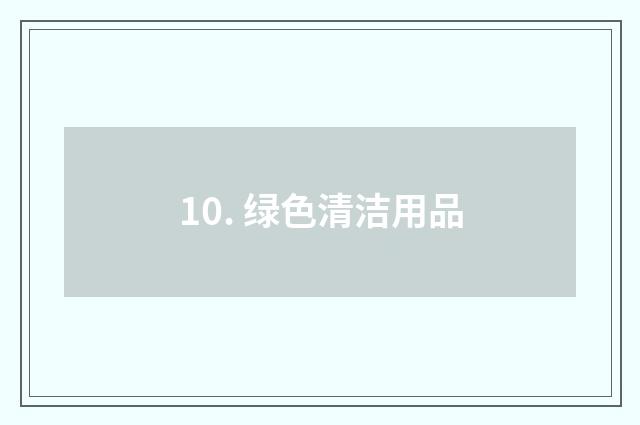 10. 绿色清洁用品