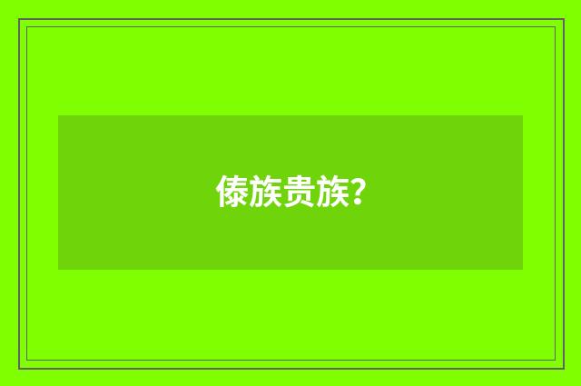 傣族贵族？