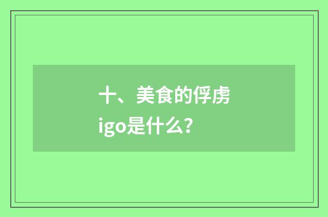 十、美食的俘虏igo是什么?