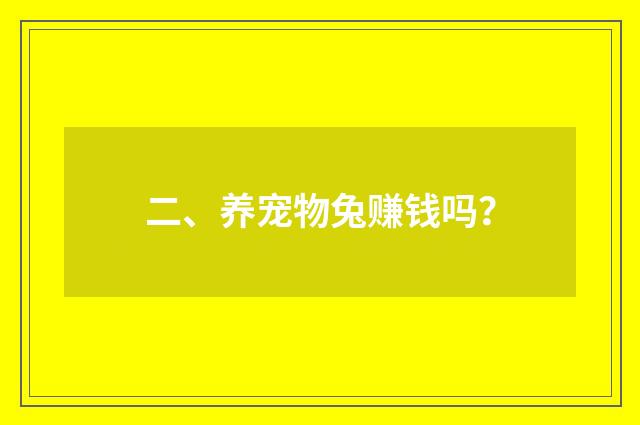 二、养宠物兔赚钱吗？