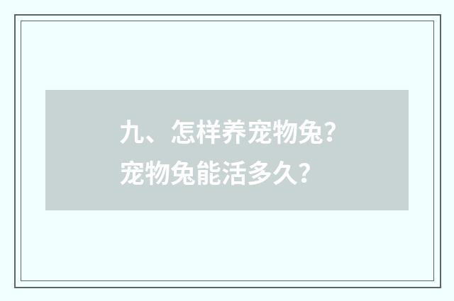 九、怎样养宠物兔？宠物兔能活多久？