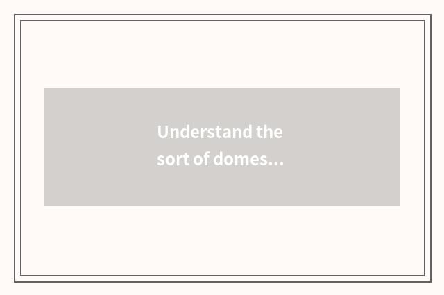 Understand the sort of domestic dress