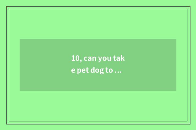 10, can you take pet dog to live guesthouse hotel?