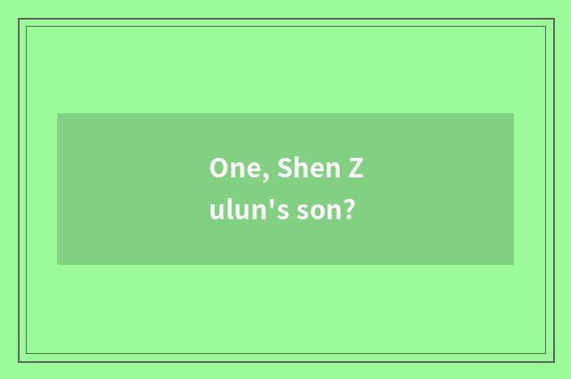 One, Shen Zulun's son?