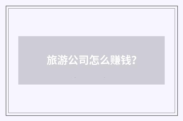 旅游公司怎么赚钱？