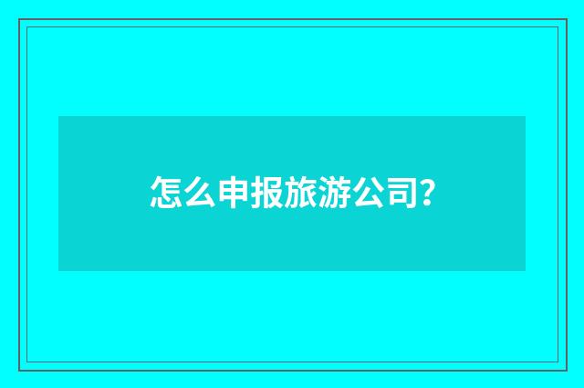 怎么申报旅游公司？