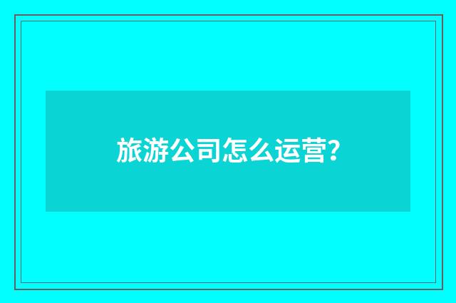 旅游公司怎么运营？