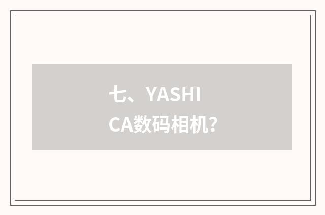 七、YASHICA数码相机?