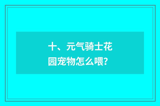 十、元气骑士花园宠物怎么喂？