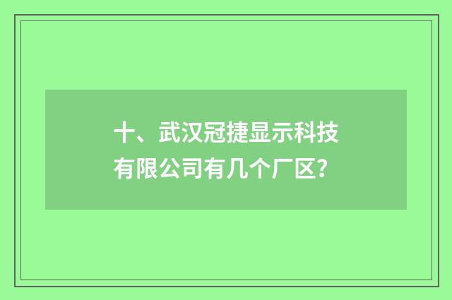 十、武汉冠捷显示科技有限公司有几个厂区？