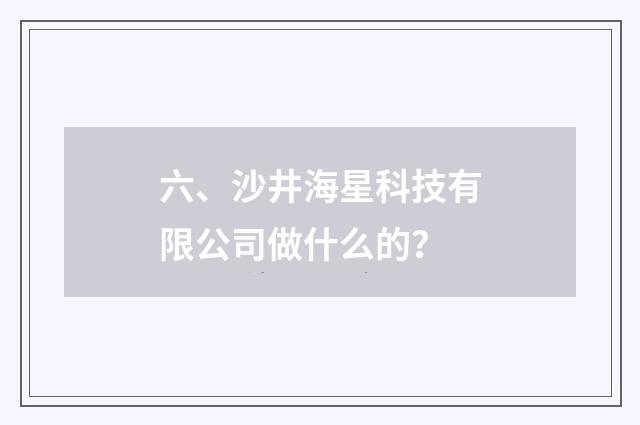 六、沙井海星科技有限公司做什么的？
