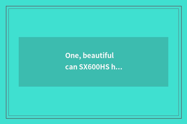 One, beautiful can SX600HS how? Beautiful can is SX600HS good?