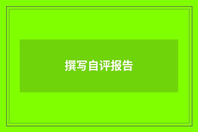 撰写自评报告