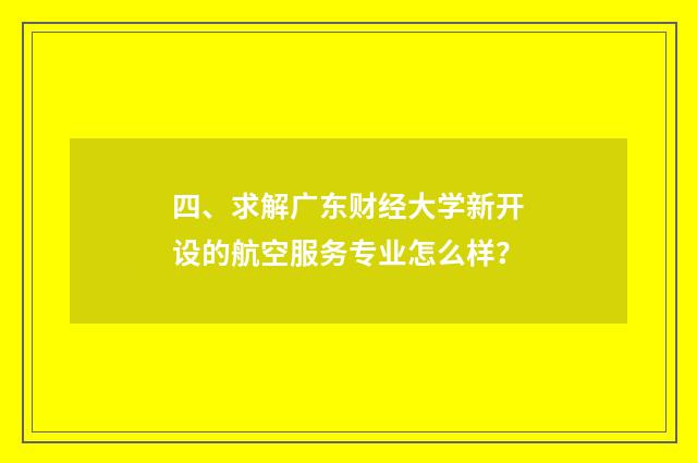 四、求解广东财经大学新开设的航空服务专业怎么样？