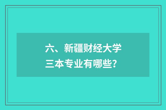 六、新疆财经大学三本专业有哪些？