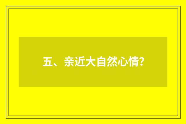 五、亲近大自然心情？