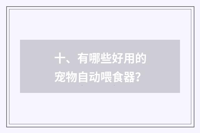十、有哪些好用的宠物自动喂食器？
