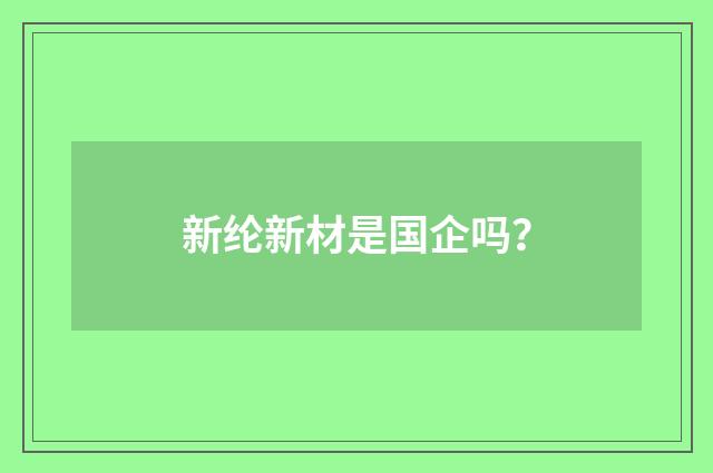 新纶新材是国企吗?