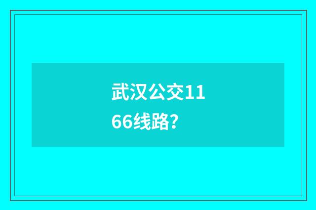 武汉公交1166线路?