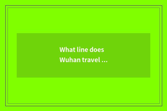 What line does Wuhan travel special train have?