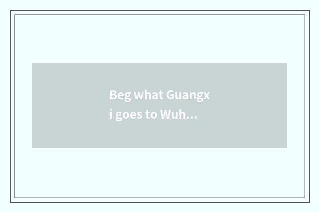 Beg what Guangxi goes to Wuhan to be driven oneself swim travel circuitry?