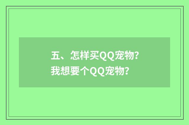 五、怎样买QQ宠物？我想要个QQ宠物？